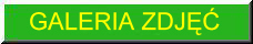 Galeria zdj