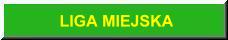 Liga Miejska
